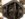 8559597D-2AAC-47F5-81A4-625F497461B9.jpeg