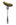 pickle-fork-13429204.jpg