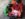 0727D4D1-3B78-412C-A5B2-1295A37032B2.jpeg