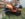 31B9B6CE-0954-4AE9-8B06-1F85AC26CEA4.jpeg