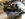 6600CF6B-39E8-4973-911B-B8E2C2E23AD6.jpeg