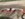1ACC2DCE-8E99-4884-85E9-C72C233119A6.jpeg