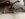 4DF49A55-E8C1-4AE6-8935-258A49C5AF69.jpeg