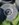 BD5447F5-D686-4981-9304-04CBF7E9CE4B.jpeg