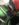 C3A522D3-C27D-453A-BD09-725F81043973.jpeg