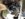 0ED099B0-7C73-47BC-BA92-4E6527EA40EC.jpeg