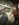 BF81B241-95EC-481D-A4D1-84844C404603.jpeg