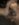B7E5F10B-5A98-477E-8415-07DFC18AFF8A.jpeg