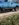 B80EAD25-9C37-44B7-9BF6-7ED0964130F4.jpeg