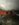 45A00099-C069-42E0-B048-0204FFD58506.jpeg