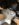 3C0F345A-06FA-4B5C-883E-A9C3F0F8753B.jpeg