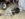 EA756632-2628-4291-8882-436D81A3CA41.jpeg