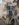 157843DB-A7E1-465B-B513-E7C44F7E7862.jpeg