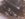 96684E16-B083-4143-8FF8-D026183B841D.jpeg