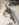 B637991C-C6DD-401F-93FC-BC15A3B6273D.jpeg