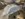 1C810B71-2EAF-4210-83A8-9ABFFD31F518.jpeg
