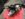 FE343B2A-17F1-4D15-BC98-784C895C165A.jpeg