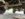 72F59273-74E9-48C4-8717-76F79FAB701B.jpeg