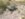 UNADJUSTEDNONRAW_thumb_269a.jpg