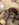 4D3C896C-C147-4AB7-A510-8330261DB798.jpeg