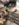701B3313-FCF7-4AC0-9A66-70D38B68F2F2.jpeg