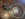 48291DD9-2CDF-4D80-8EEF-85A895586409.jpeg