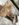 A368A44C-CBAA-441E-A91C-4D59961553CE.jpeg