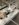 BFD62A5A-D5FD-4475-B685-DC8858A26B81.jpeg