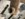 1B665410-66D1-4C4B-AD76-4C90CA3BDB4C.jpeg