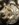 2314AEE2-2632-47FD-AA3D-647FE83AB0F0.jpeg