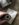 59B8C250-A4C8-4CC1-9E34-1A8D83825B5B.jpeg