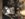 6D4DF74E-EAF7-4288-9BAD-33603A341D07.jpeg