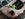 received_229528501794683.jpeg