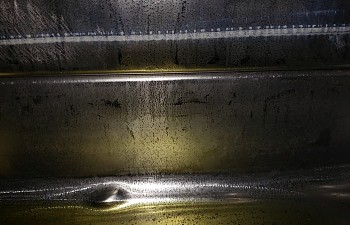 87084967_10217710529009817_8521878103595679744_o_10217710528929815.jpg