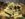 5D1262B4-581B-4AD0-823F-98952C8238AE.jpeg
