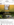 3968C585-2170-4D27-8093-159848A60871.png