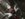 BA08856E-F927-490A-9DF5-B5CF63689B41.jpeg
