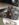 2E81157C-7A63-4DCE-B100-CD75CA2538D3.jpeg