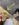 E9E26ED6-54F4-4BC7-A30A-FA345F26B23F.jpeg