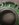 A7E62B12-B633-4A1E-9962-D46FCD97A72B.jpeg