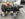 20B0CDC9-0137-4764-9EBB-41840F0B5A79.jpeg