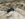 AFCCA36B-98A0-4CA2-AA94-D6B003DF6715.jpeg