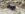 08ECBDB9-08BE-4AEA-9FF7-2C579E0A74EB.jpeg