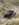 13D366D7-FB4F-4AC8-A385-23CB79D1FBBC.jpeg