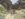 7E2CD2C4-C89C-472A-8398-B3A8781C9B31.jpeg