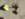 C26D9FF8-7395-4C39-B56C-E81FAE879A6C.jpeg
