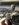 486F77A4-53CC-414C-B71E-F72FF7796AA2.jpeg