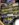8F610C70-8988-4FFF-A974-D69FF40D2490.jpeg