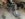 445F54EA-DE0C-4E98-A949-FB25E8D0C121.jpeg