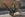 538929CD-6579-4603-A290-B1EEB332D1F2.jpeg